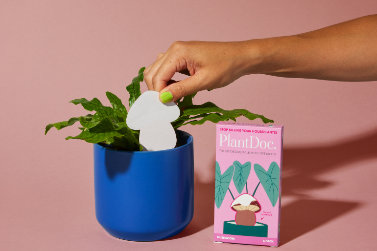 Four PlantDoc 5-Packs: Each Shape! (monstera, mushroom, cactus, flower)