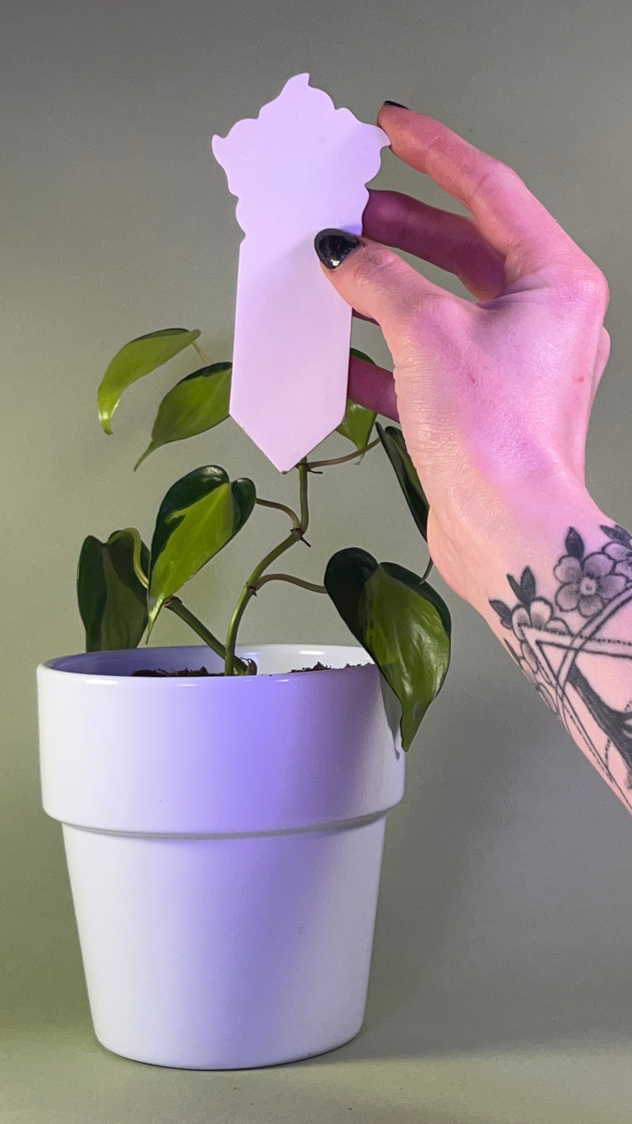 PlantDoc Flower: Biodegradable Color-Changing Moisture Meter for Plants, 5-Pack