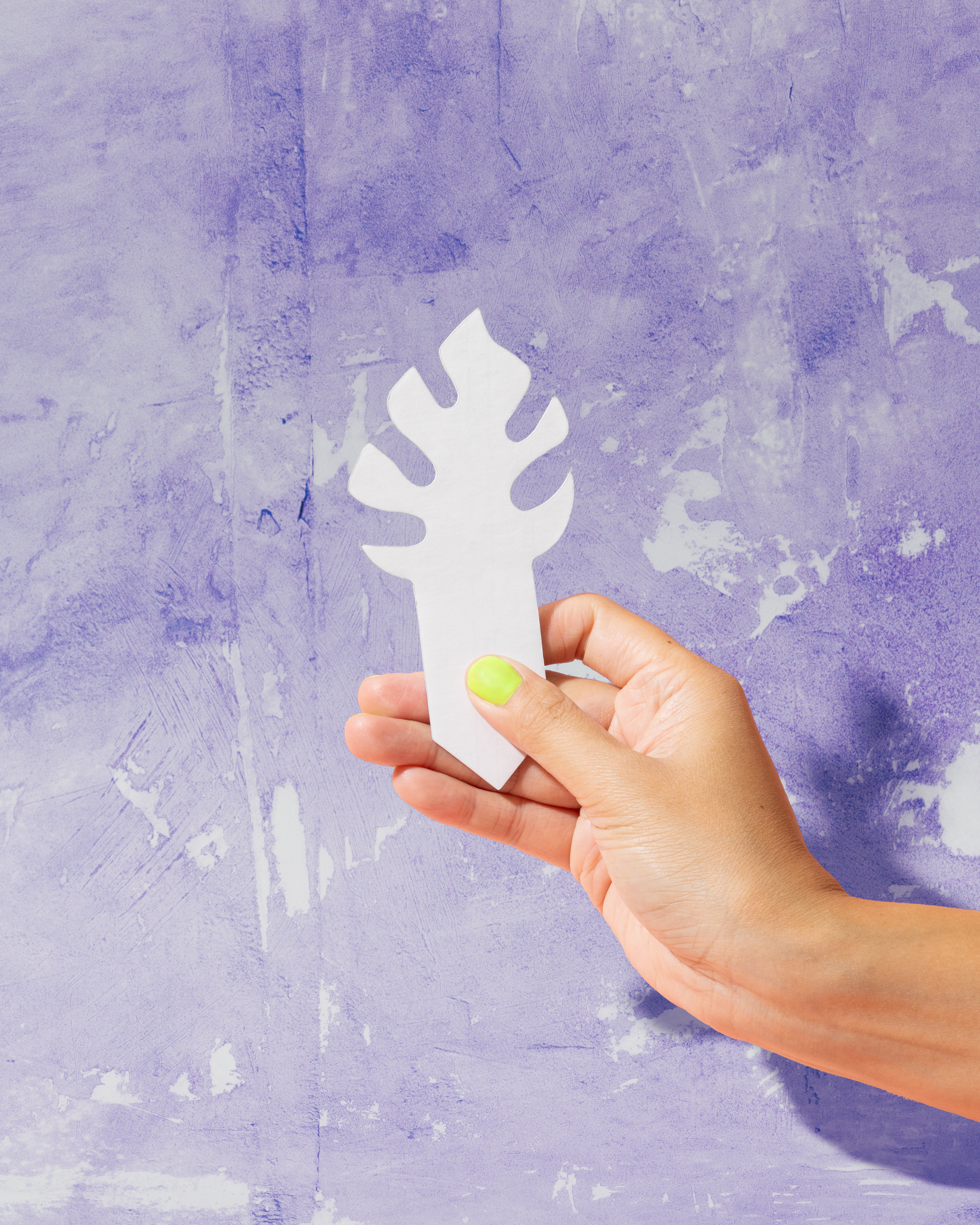PlantDoc Monstera: Biodegradable Color-Changing Moisture Meter for Plants, 5-Pack