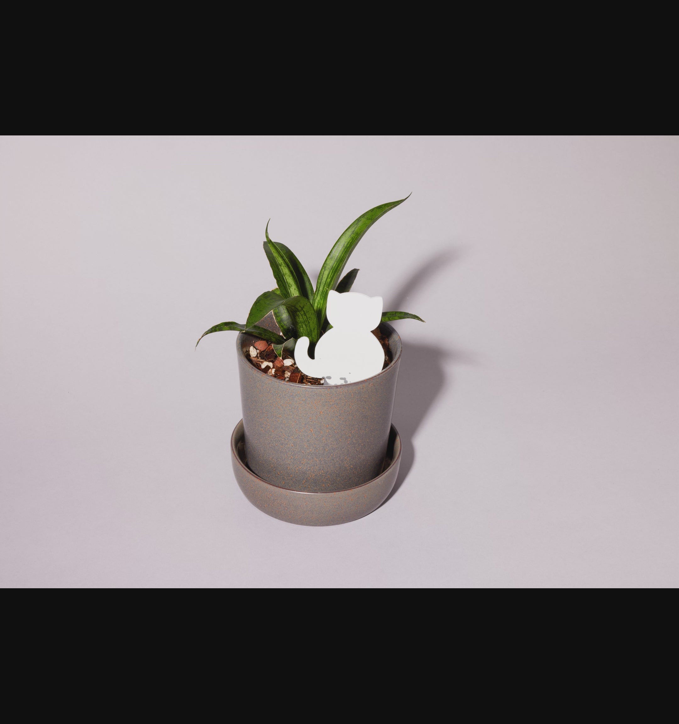 PlantDoc Kitty! Biodegradable Color-Changing Moisture Meter for Plants, 5-Pack