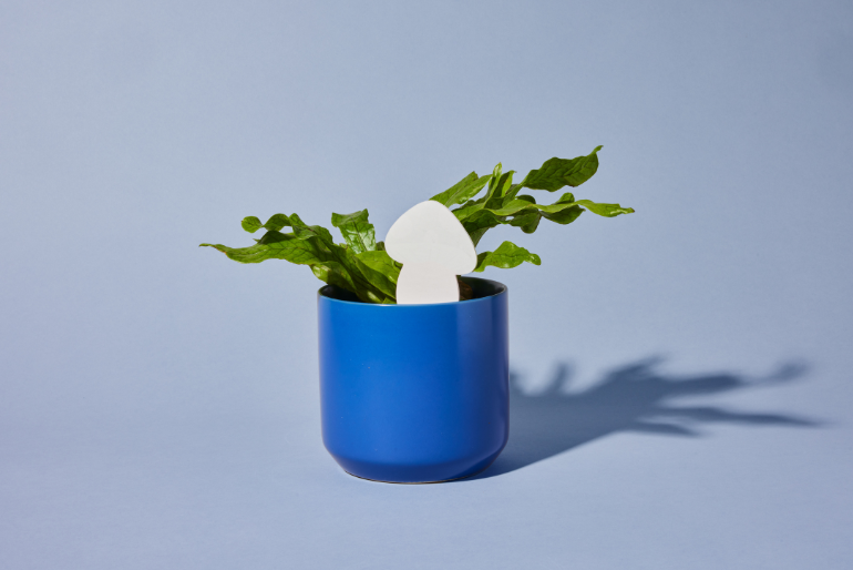 PlantDoc Mushroom! Biodegradable Color-Changing Moisture Meter for Plants