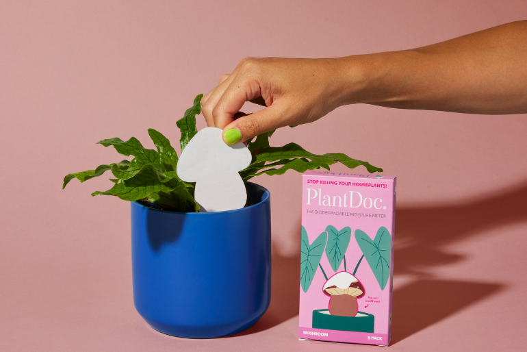 PlantDoc Mushroom! Biodegradable Color-Changing Moisture Meter for Plants