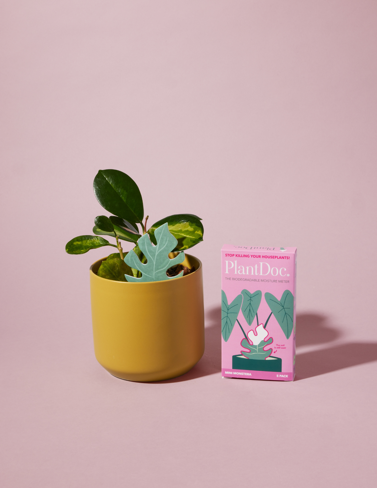 PlantDoc Monstera: Biodegradable Color-Changing Moisture Meter for Plants