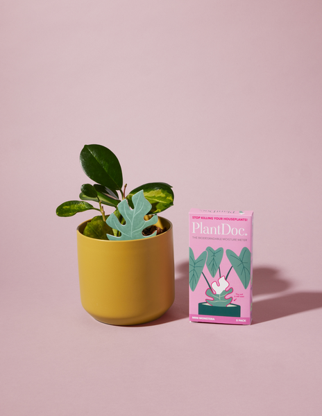 6_93ec074a-3b70-4779-bef3-