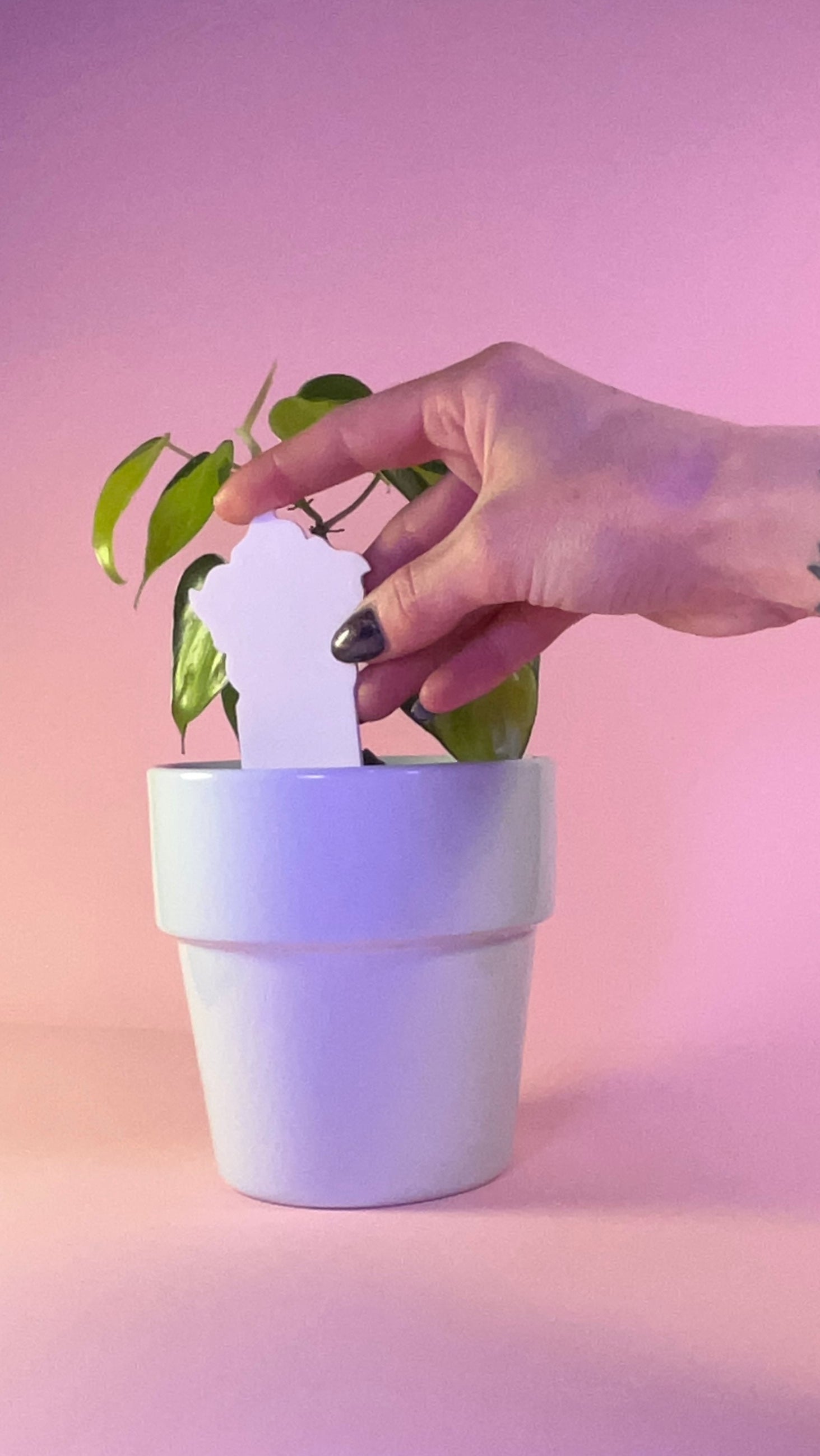 PlantDoc Flower: Biodegradable Color-Changing Moisture Meter for Plants, 5-Pack