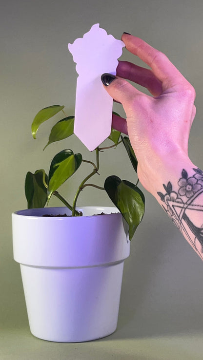 PlantDoc Flower: Biodegradable Color-Changing Moisture Meter for Plants, 5-Pack