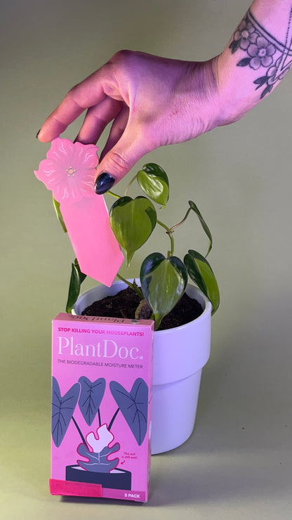 PlantDoc Flower: Biodegradable Color-Changing Moisture Meter for Plants, 5-Pack