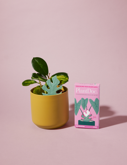 A biodegradable color-changing moisture meter for plants, with a white and green color scheme, displayed next to a potted plant against a pink background.