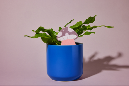 PlantDoc Mushroom! Biodegradable Color-Changing Moisture Meter for Plants, 5-Pack