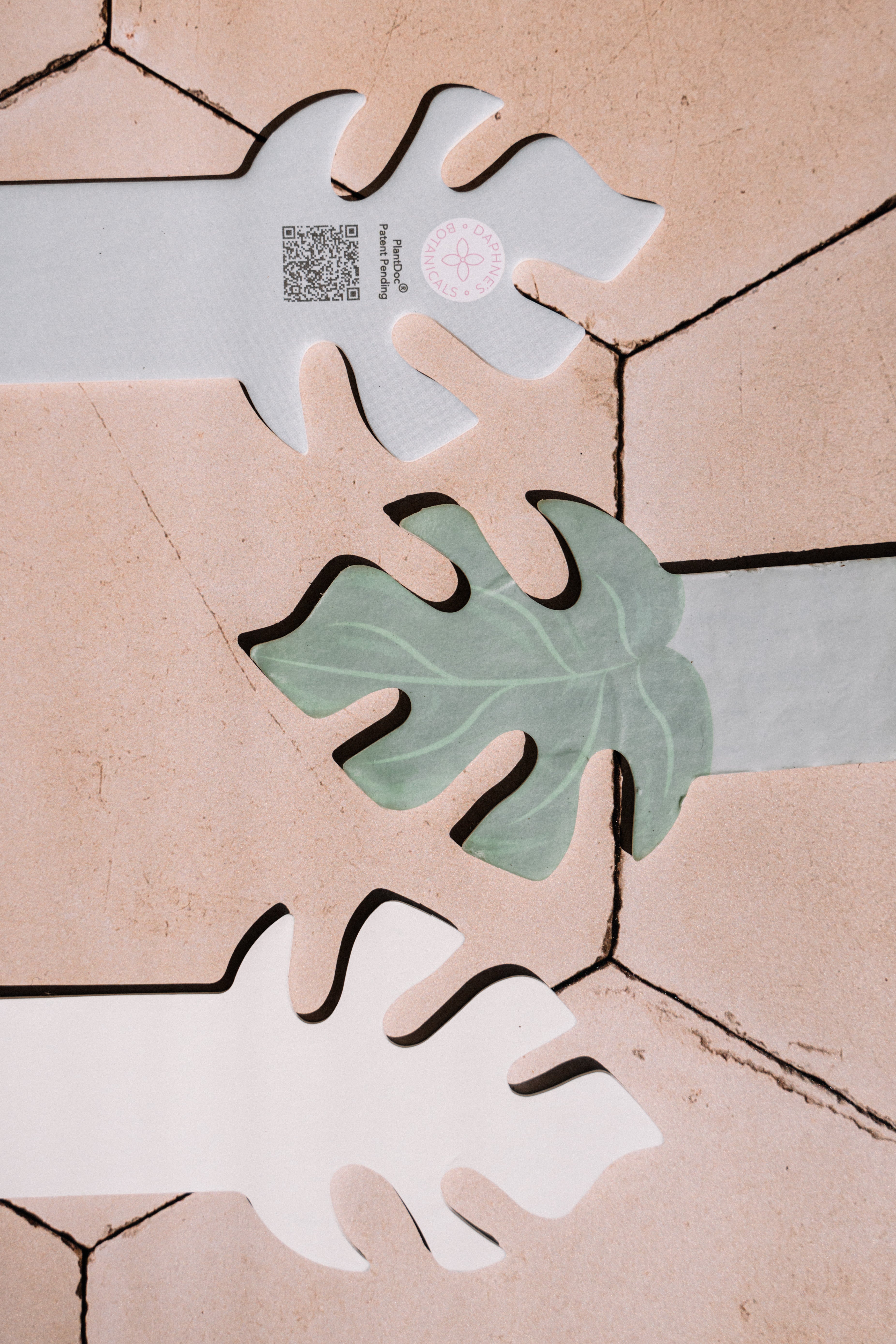 PlantDoc Monstera: Biodegradable Color-Changing Moisture Meter for Plants